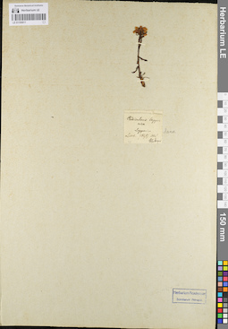 LE 01100811