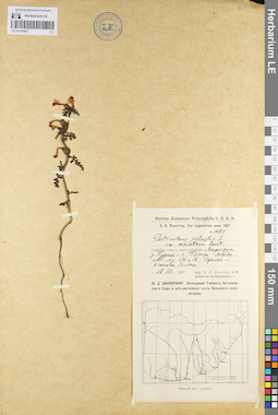 LE 01100907