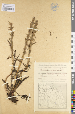 LE 01100949