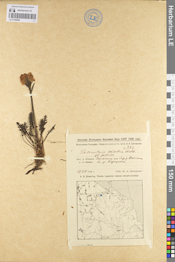 LE 01100954