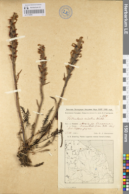 LE 01100956