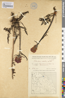 LE 01100964