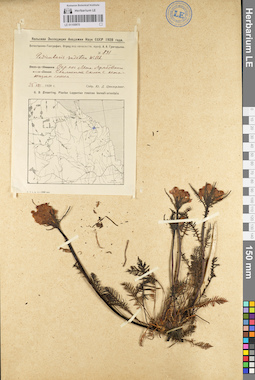 LE 01100970