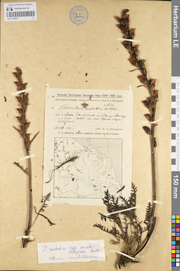 LE 01100971