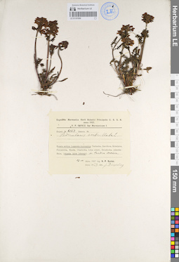 LE 01101006
