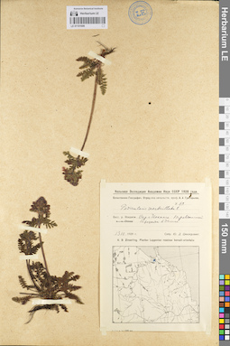 LE 01101009