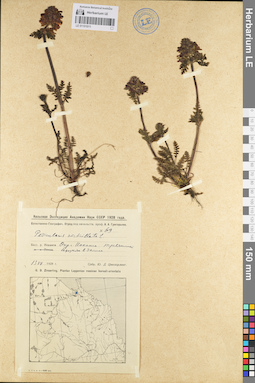LE 01101011