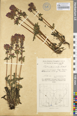 LE 01101014