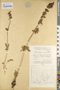 LE 01101015