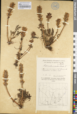 LE 01101019