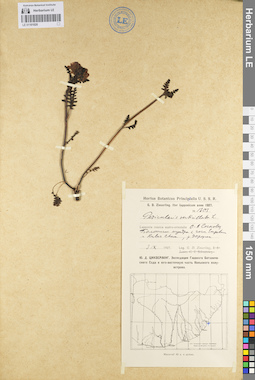 LE 01101020