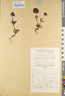 LE 01101028