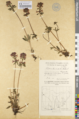 LE 01101029