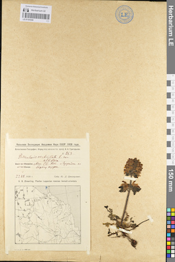 LE 01101030
