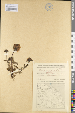 LE 01101031