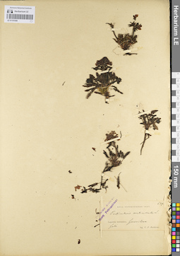 LE 01101049
