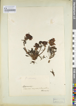 LE 01101050