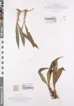 LE 01068853