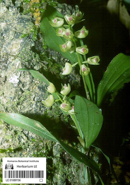 LE 01089156