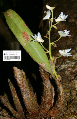 LE 01089157