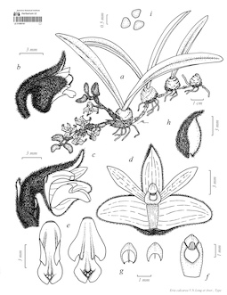 LE 01089161