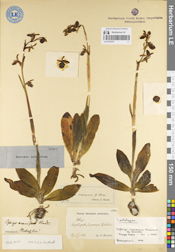 LE 01072070