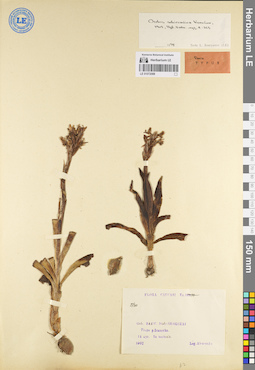 LE 01072088