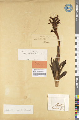 LE 01072092