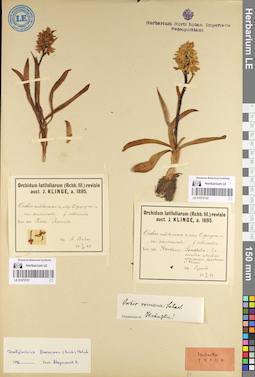 LE 01072102