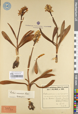 LE 01072103
