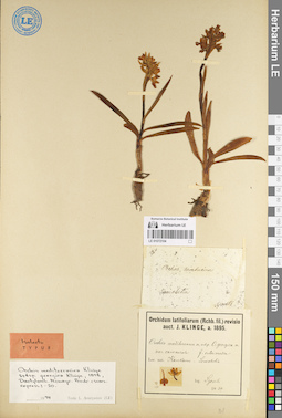 LE 01072104