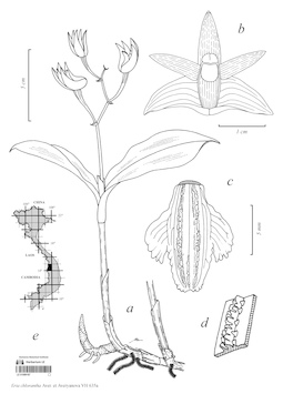 LE 01089167
