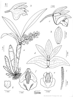 LE 01089177