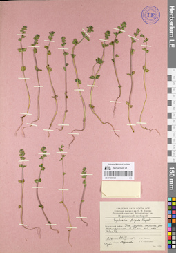 LE 01086405