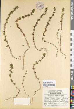 LE 01086406