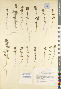 LE 01086414