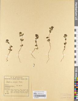 LE 01086424