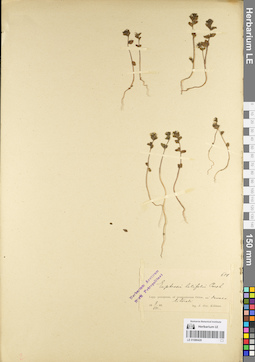 LE 01086426