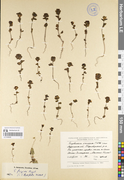 LE 01086428
