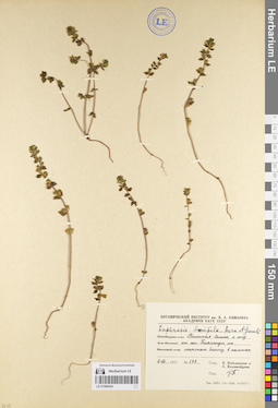 LE 01086434