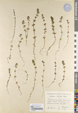 LE 01086442