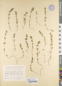 LE 01086458