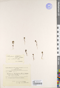 LE 01086469