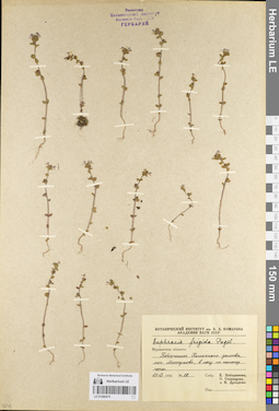 LE 01086475
