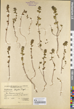 LE 01086486