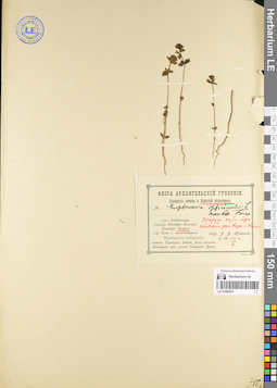 LE 01086491