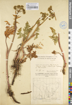 LE 01096475