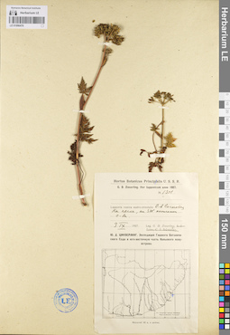 LE 01096476