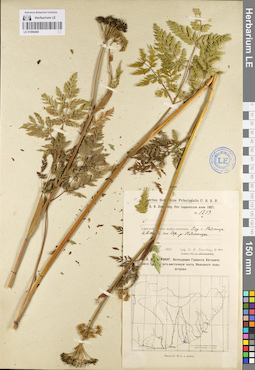 LE 01096480