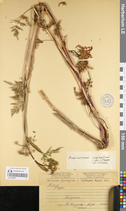 LE 01096485